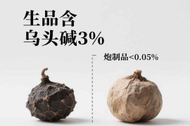 不宜泡酒的中药:附子,苍耳子,水蛭及断肠草中毒风险与安全配伍指南